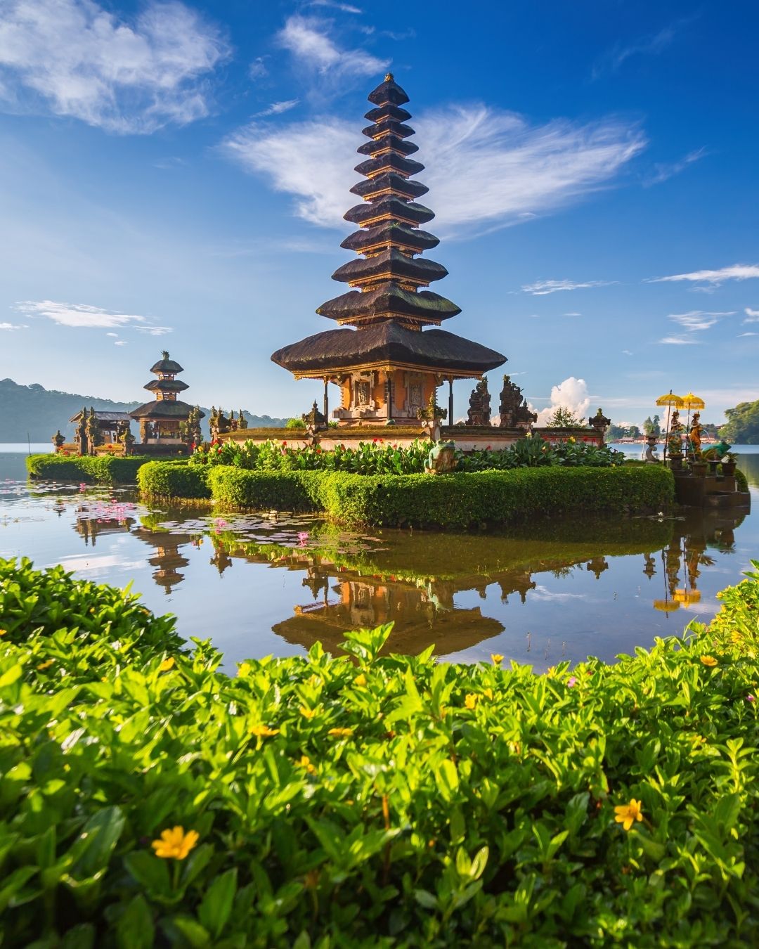 BALİ